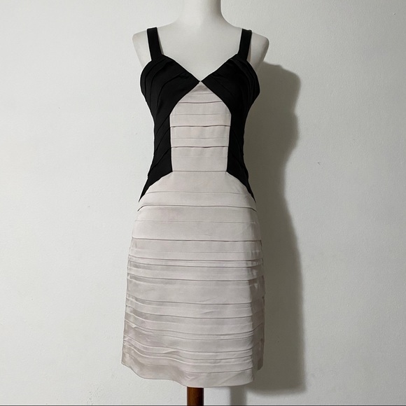 BCBGMaxAzria Dresses & Skirts - BCBGMAXAZRIA Black and Gray Dress